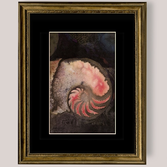 Nautilus Shell Art print from original painting - Picture 2 of 3